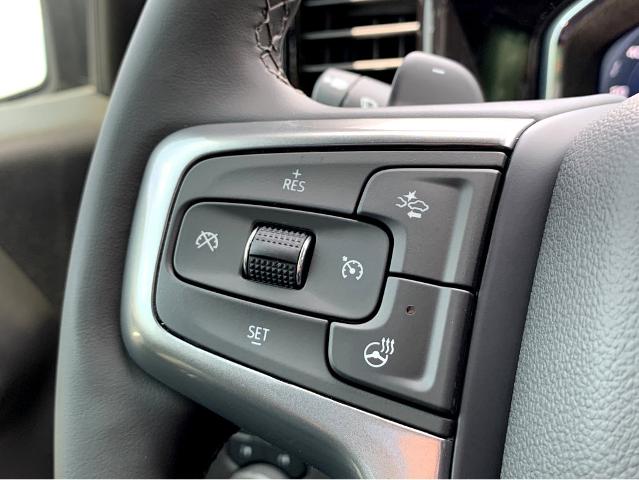 2025 Chevrolet Silverado 1500 Vehicle Photo in BEAUFORT, SC 29906-4218