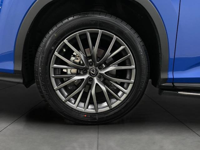 2022 Lexus RX 350 Vehicle Photo in Appleton, WI 54913