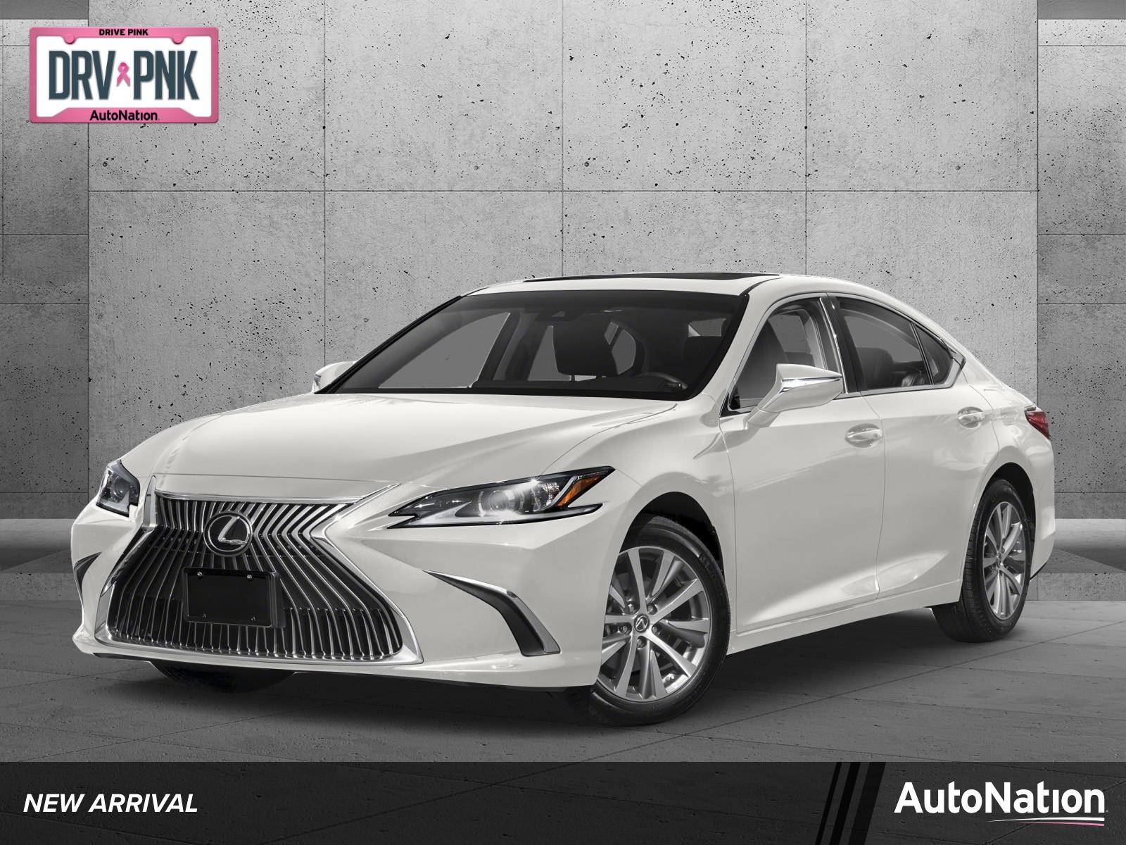 2019 Lexus ES 350 Vehicle Photo in Tampa, FL 33614