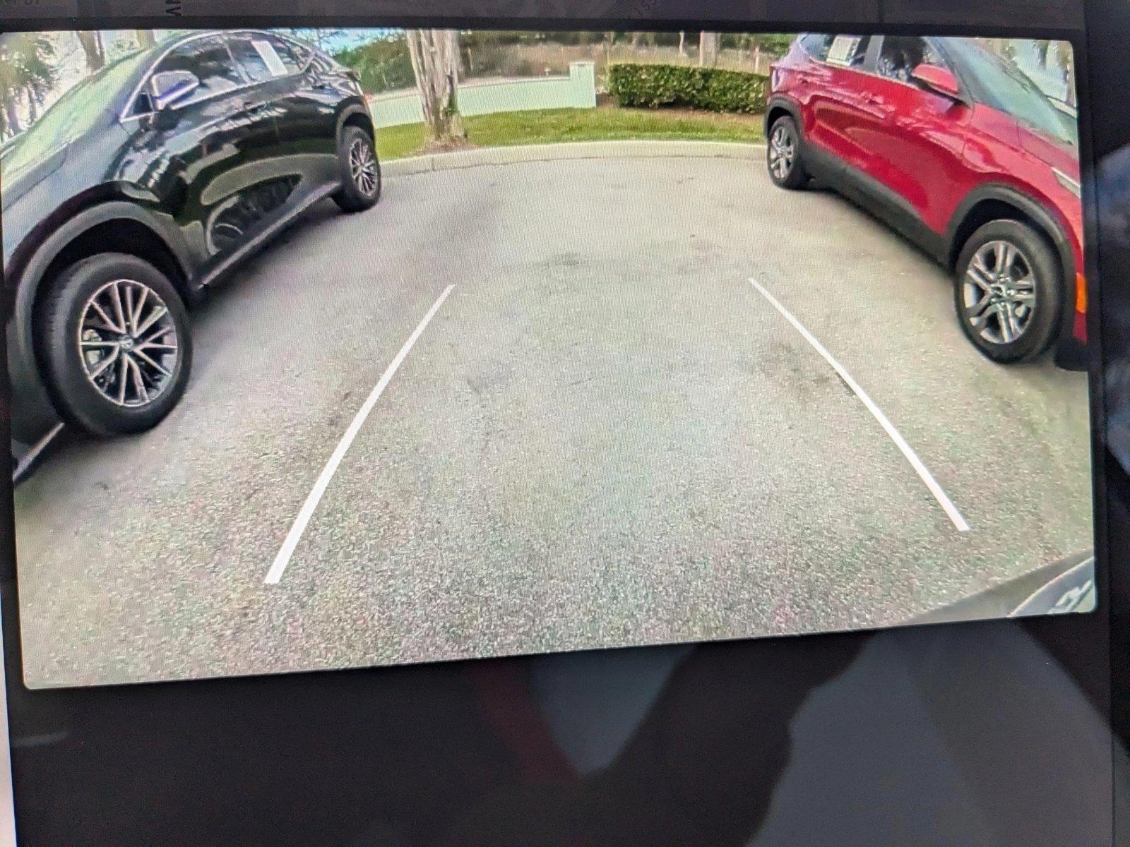 2024 Tesla Model Y Vehicle Photo in Miami, FL 33169