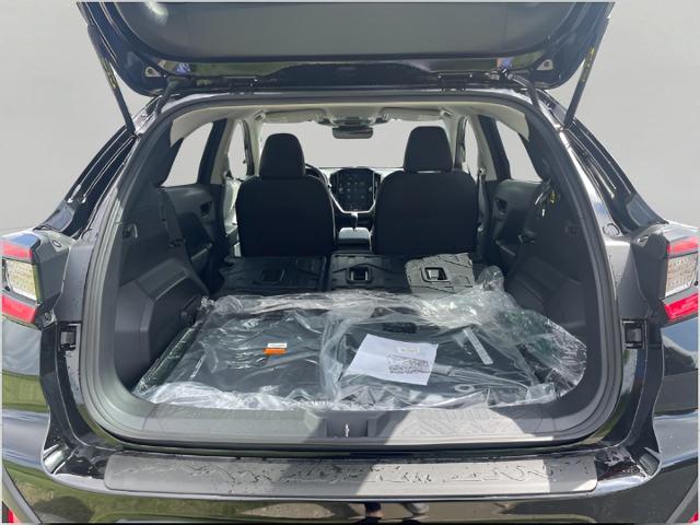 2025 Subaru Crosstrek Vehicle Photo in Oshkosh, WI 54904