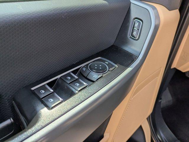 2023 Ford F-150 Vehicle Photo in San Antonio, TX 78209
