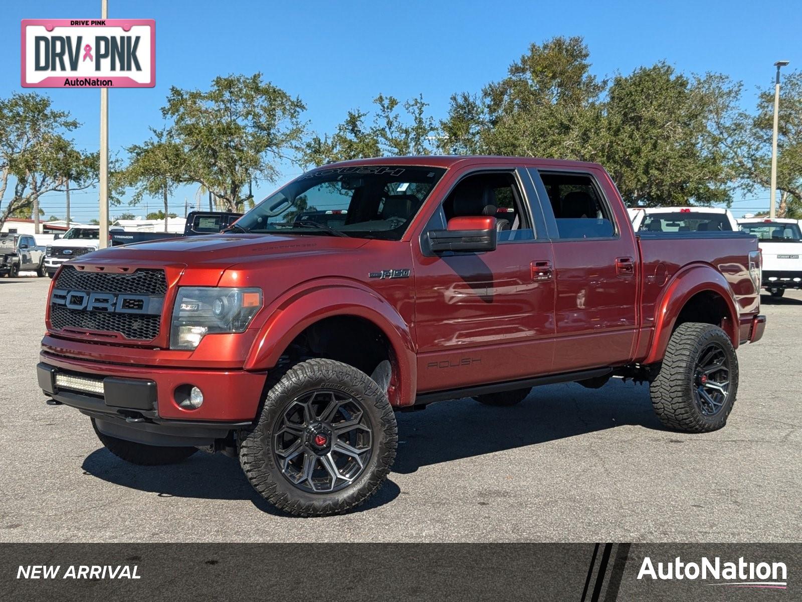 2014 Ford F-150 Vehicle Photo in St. Petersburg, FL 33713