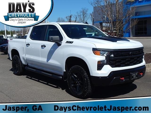 2025 Chevrolet Silverado 1500 Vehicle Photo in JASPER, GA 30143-8655