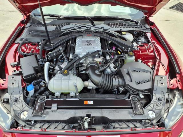 2021 Ford Mustang Vehicle Photo in Tampa, FL 33612