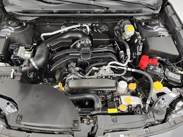 2024 Subaru Outback Vehicle Photo in Green Bay, WI 54304