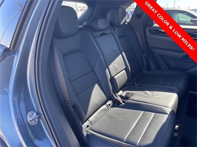2019 Porsche Cayenne Vehicle Photo in San Antonio, TX 78230