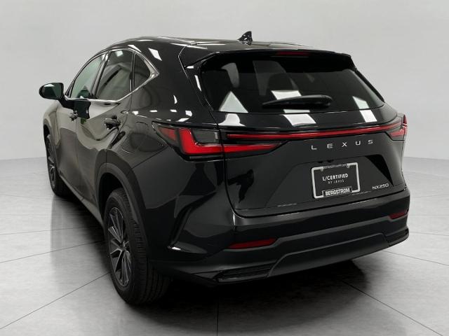 2024 Lexus NX 250 Vehicle Photo in Appleton, WI 54913