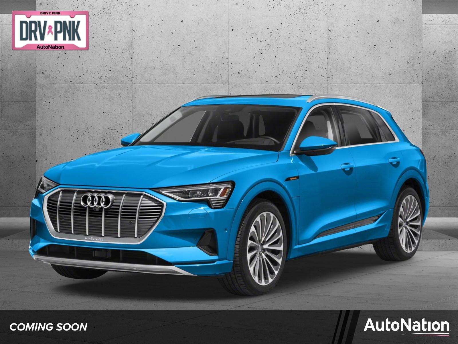 2019 Audi e-tron Vehicle Photo in Las Vegas, NV 89149