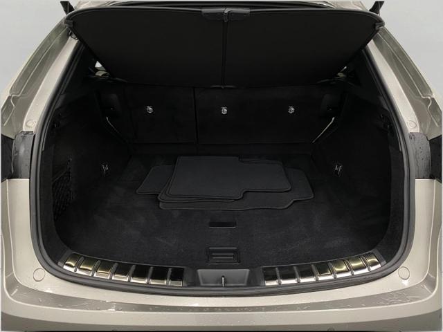 2024 Lexus NX 250 Vehicle Photo in Appleton, WI 54913