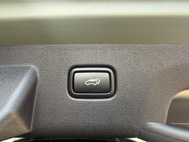 2023 Kia Sportage Vehicle Photo in Appleton, WI 54914