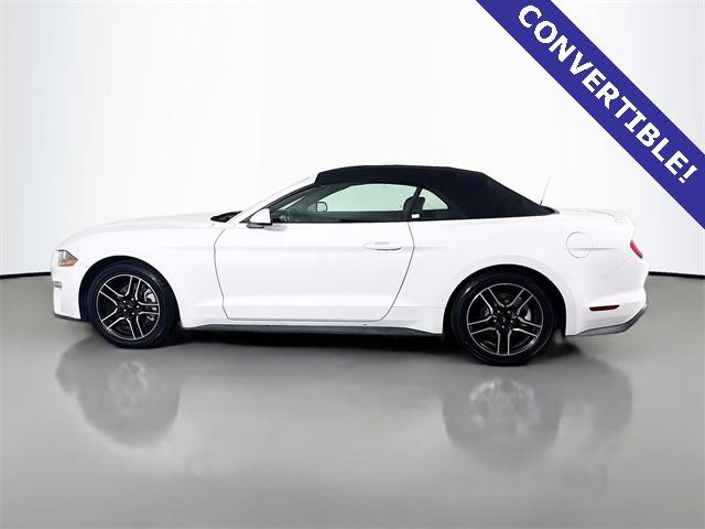 2022 Ford Mustang Vehicle Photo in Puyallup, WA 98371