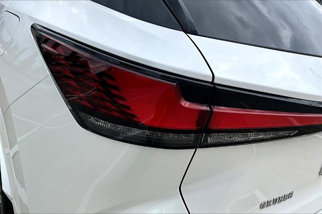 2024 Lexus RX 350 Vehicle Photo in Houston, TX 77007