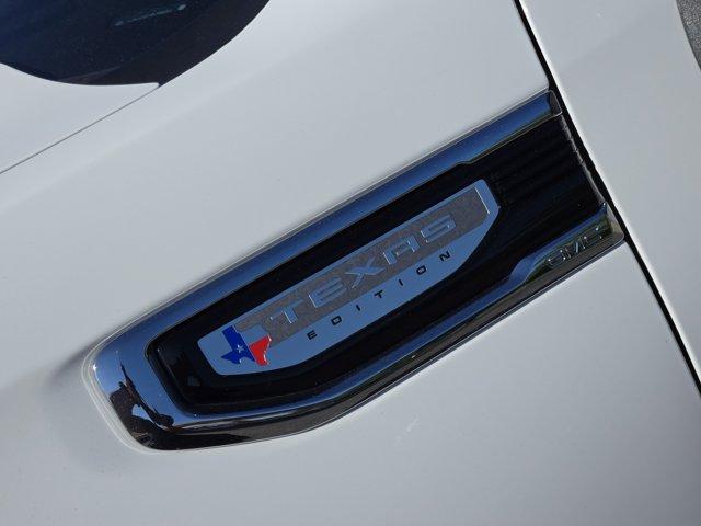 2023 GMC Sierra 1500 Vehicle Photo in Decatur, TX 76234