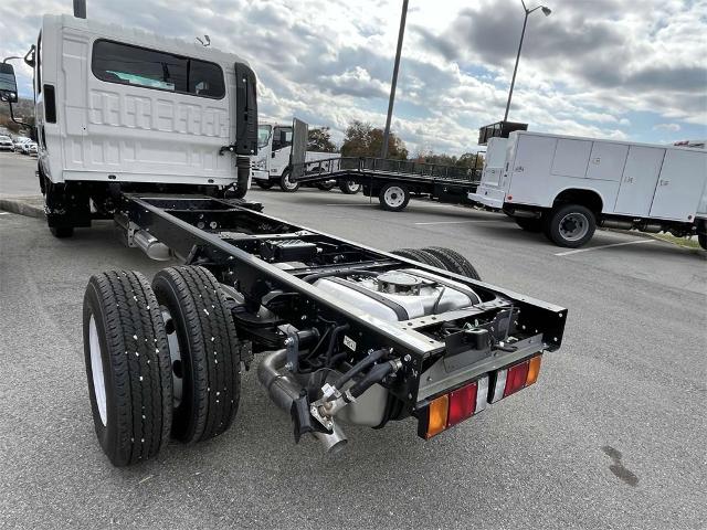 2025 Chevrolet Low Cab Forward 3500 Vehicle Photo in ALCOA, TN 37701-3235