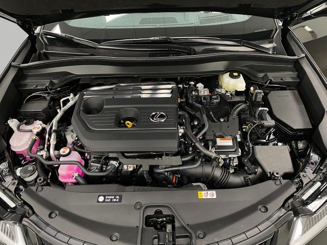 2025 Lexus UX 300h Vehicle Photo in Appleton, WI 54913