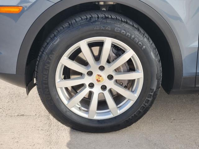 2019 Porsche Cayenne Vehicle Photo in GRAPEVINE, TX 76051-8302