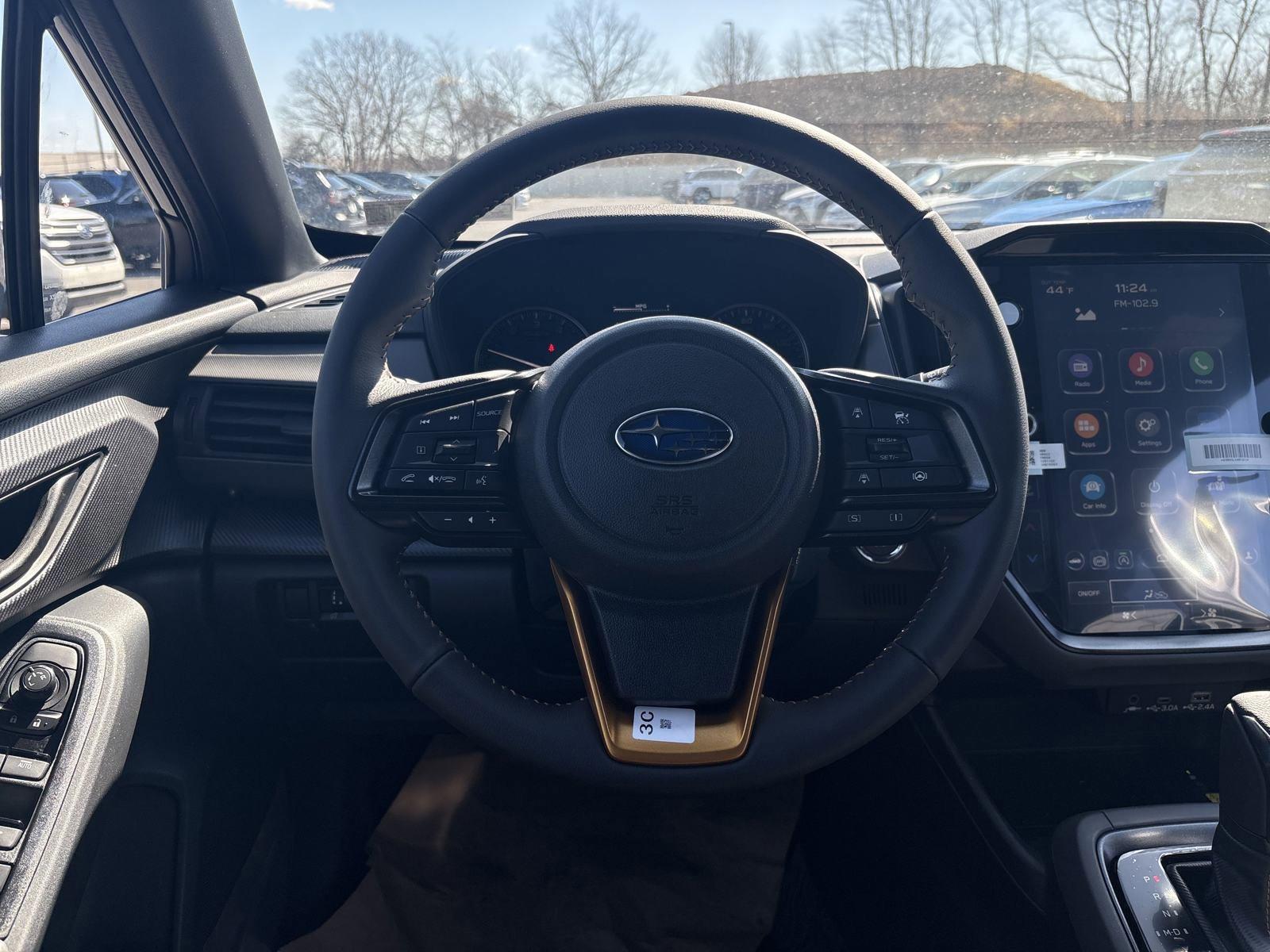 2025 Subaru Crosstrek Vehicle Photo in Mechanicsburg, PA 17050