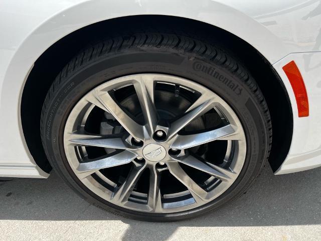 2025 Cadillac CT4 Vehicle Photo in Tampa, FL 33612