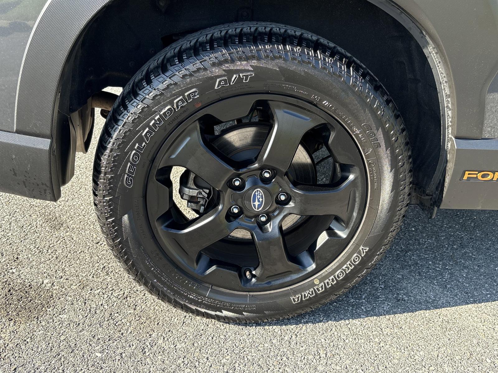 2023 Subaru Forester Vehicle Photo in Mechanicsburg, PA 17050