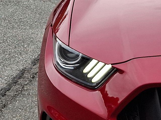 2020 Ford Mustang Vehicle Photo in DANBURY, CT 06810-5034