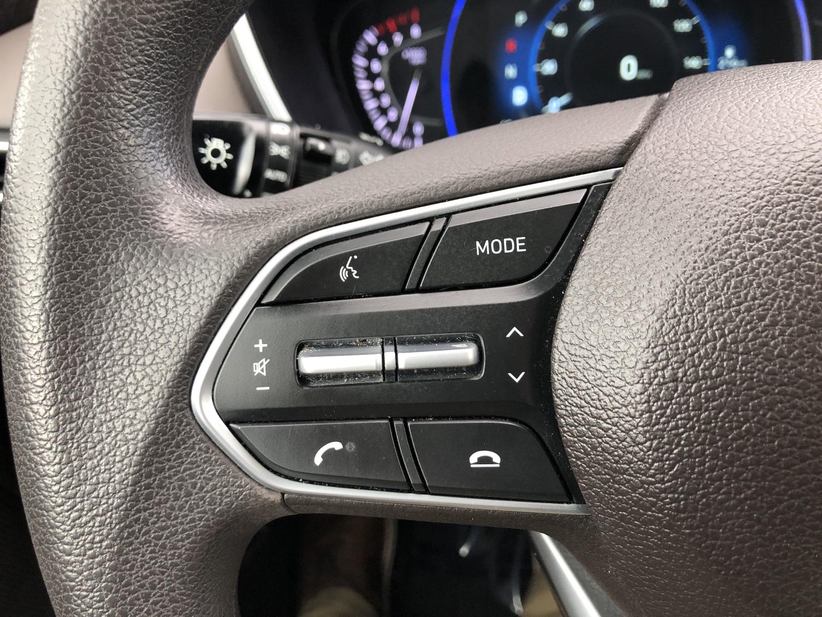 2020 Hyundai SANTA FE Vehicle Photo in Mechanicsburg, PA 17050