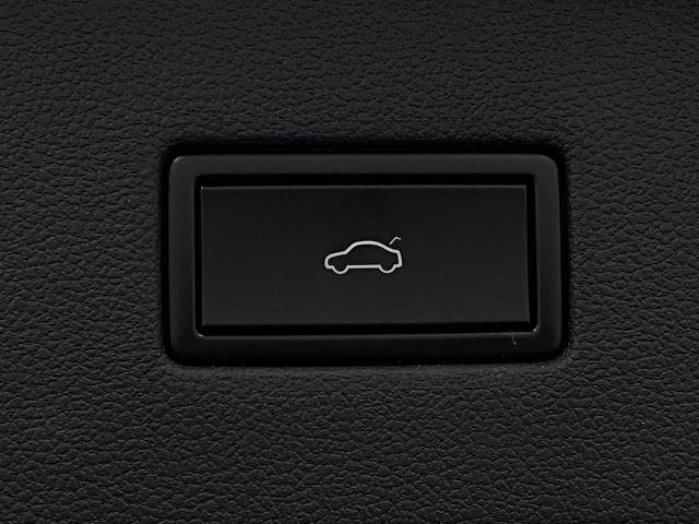 2019 Volkswagen Tiguan Vehicle Photo in Appleton, WI 54913