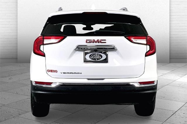 2022 GMC Terrain Vehicle Photo in Lees Summit, MO 64086