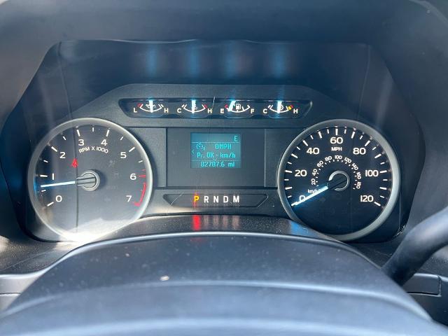 2019 Ford F-150 Vehicle Photo in Brunswick, GA 31525