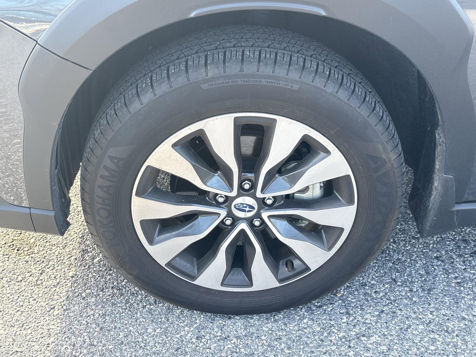 2024 Subaru Outback Vehicle Photo in Mechanicsburg, PA 17050