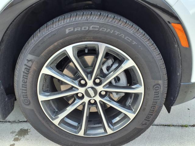 2024 Cadillac XT4 Vehicle Photo in Tampa, FL 33612