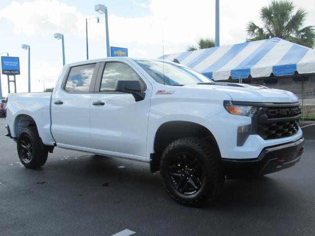 2025 Chevrolet Silverado 1500 Vehicle Photo in LEESBURG, FL 34788-4022