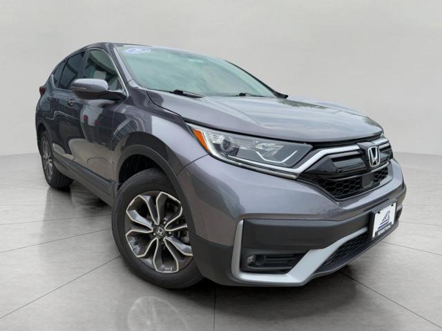 2022 Honda CR-V Vehicle Photo in Appleton, WI 54914