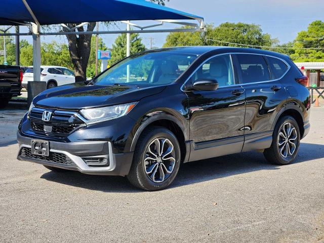 2020 Honda CR-V Vehicle Photo in DENTON, TX 76210-9321