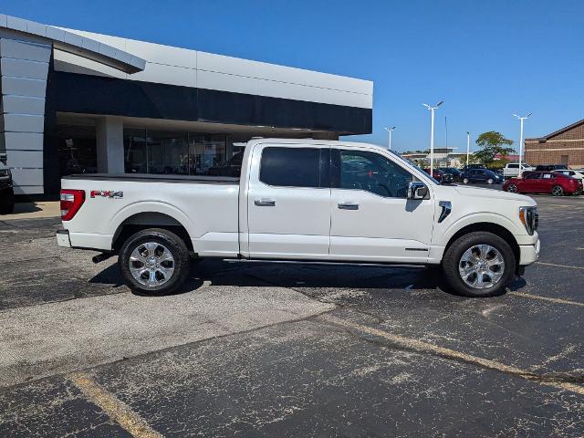 Used 2021 Ford F-150 Platinum with VIN 1FTFW1ED0MFB25643 for sale in Villa Park, IL