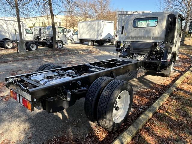 2024 Chevrolet Low Cab Forward 4500 Vehicle Photo in ALCOA, TN 37701-3235