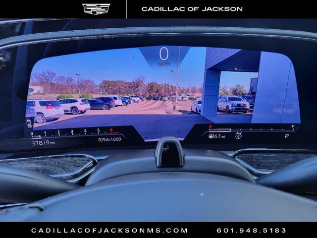 2023 Cadillac Escalade Vehicle Photo in RIDGELAND, MS 39157-4406