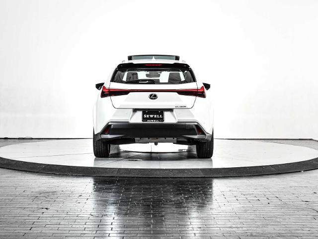 2024 Lexus UX 250h Vehicle Photo in DALLAS, TX 75235