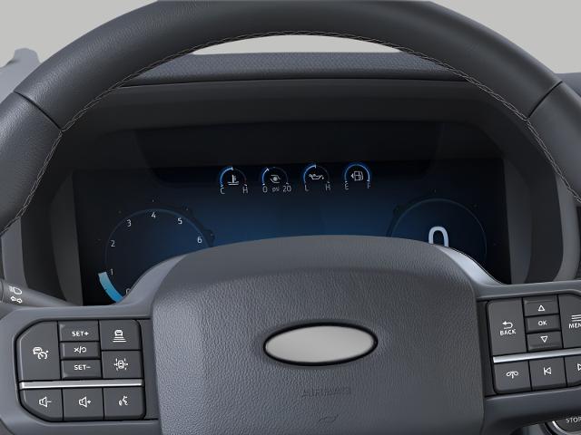 2025 Ford F-150 Vehicle Photo in Neenah, WI 54956