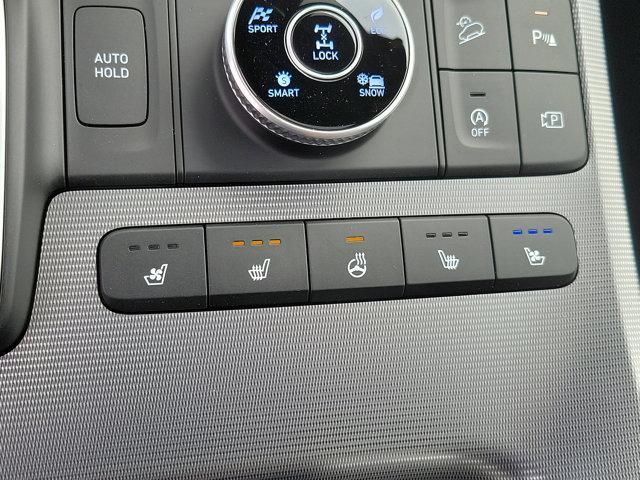 2024 Hyundai PALISADE Vehicle Photo in Philadelphia, PA 19116