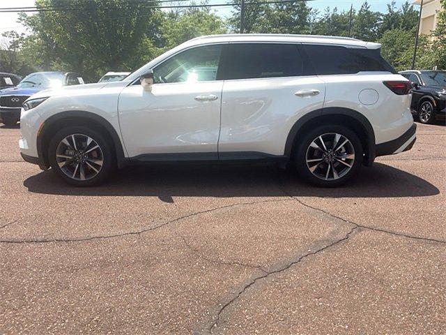 2024 INFINITI QX60 Vehicle Photo in Willow Grove, PA 19090