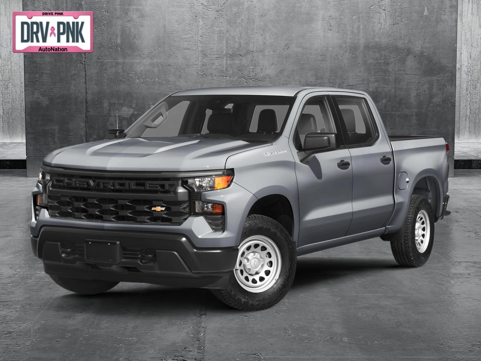 2025 Chevrolet Silverado 1500 Vehicle Photo in TIMONIUM, MD 21093-2300