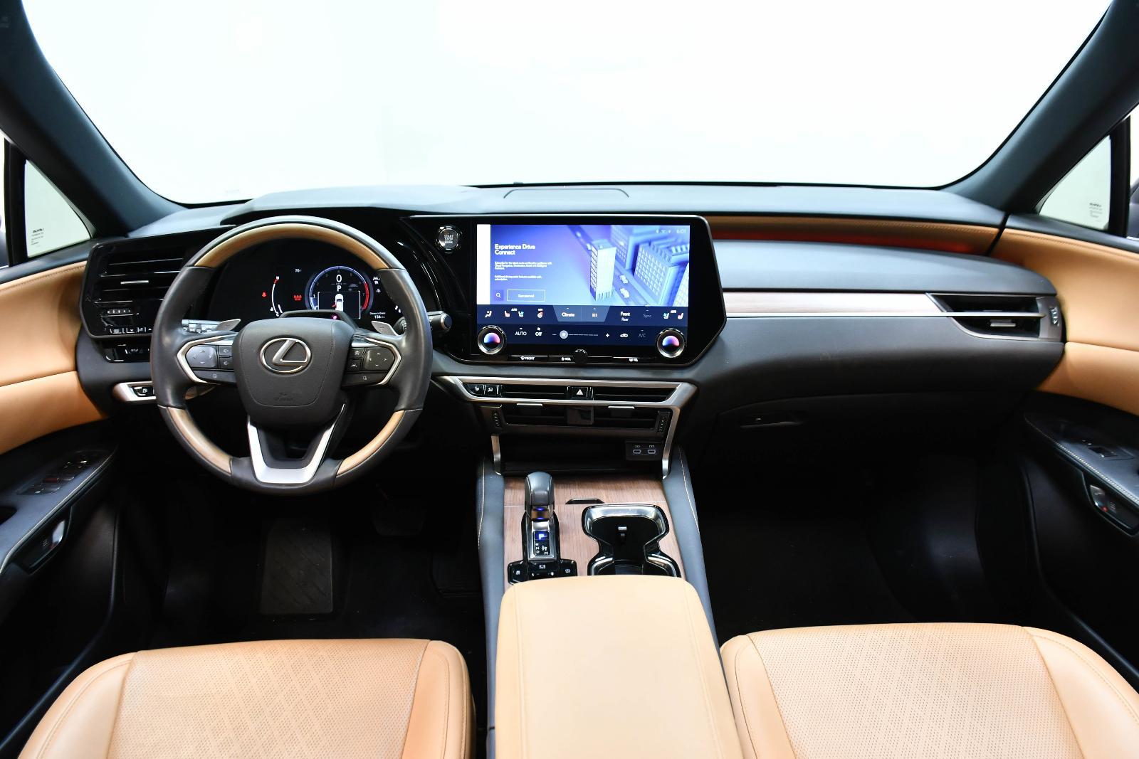 2024 Lexus RX 350 Vehicle Photo in DALLAS, TX 75235