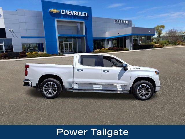 2024 Chevrolet Silverado 1500 Vehicle Photo in DANBURY, CT 06810-5034