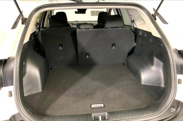 2024 Kia Sportage Vehicle Photo in Lees Summit, MO 64086