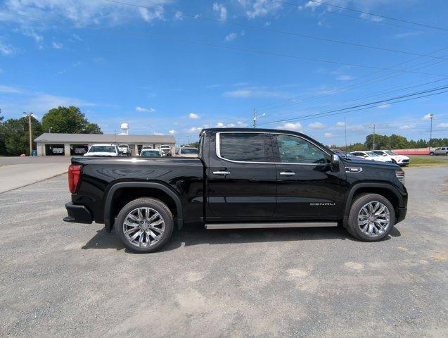 2025 GMC Sierra 1500 Vehicle Photo in ALBERTVILLE, AL 35950-0246