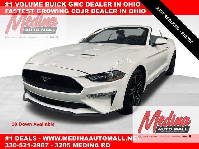 2019 Ford Mustang Vehicle Photo in MEDINA, OH 44256-9631