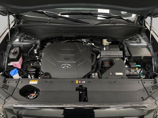 2025 Hyundai PALISADE Vehicle Photo in Appleton, WI 54913