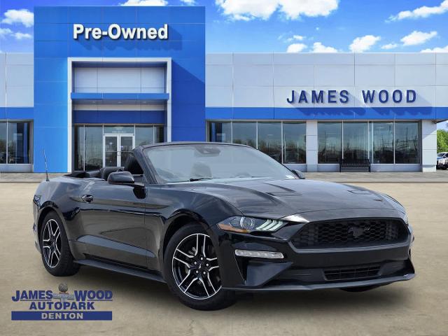 2022 Ford Mustang Vehicle Photo in DENTON, TX 76210-9321