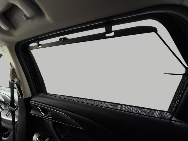 2021 Mazda CX-9 Vehicle Photo in Appleton, WI 54914